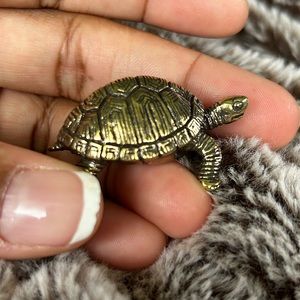 Retro Brass Tortoise.